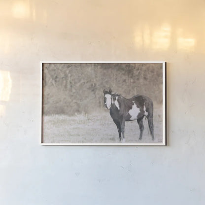 Sunny Field II by Nathan Larson. shown as a paper print in a white frame. Available as a archival giclee rolled canvas, fine art paper, or poster print. SKU 97357i.