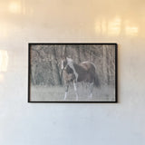 Sunny Field III by Nathan Larson. shown as a paper print in a black flame. Available as a archival giclee rolled canvas, fine art paper, or poster print. SKU 97358i.