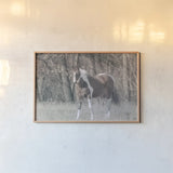 Sunny Field III by Nathan Larson. shown as a paper print in a natural frame. Available as a archival giclee rolled canvas, fine art paper, or poster print. SKU 97358i.