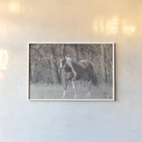 Sunny Field III by Nathan Larson. shown as a paper print in a white frame. Available as a archival giclee rolled canvas, fine art paper, or poster print. SKU 97358i.