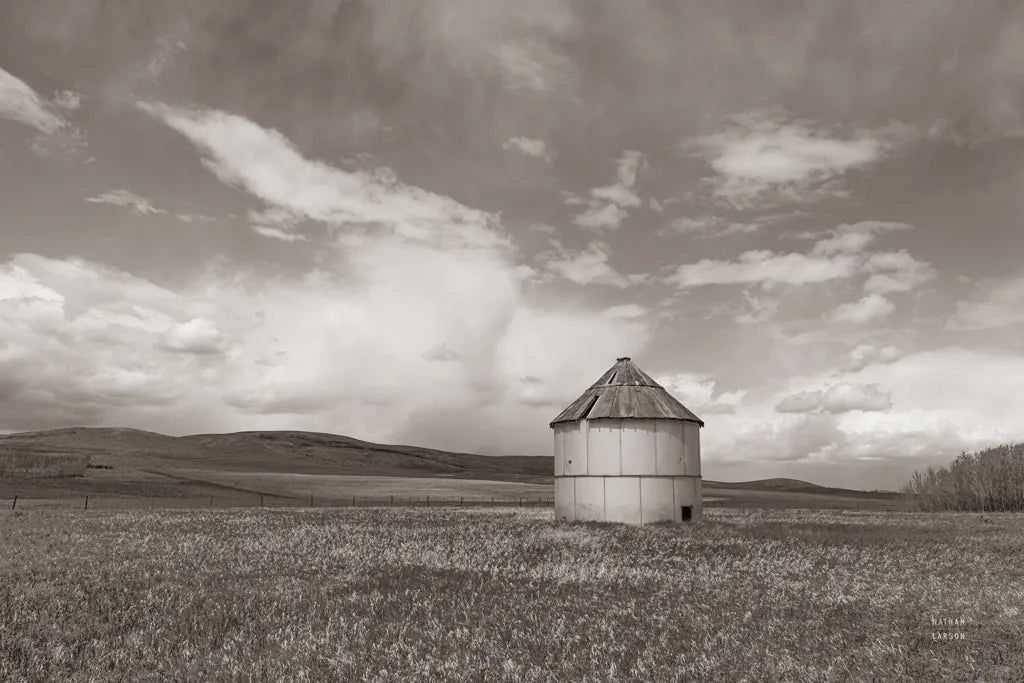 Sunny Pastures BW by Nathan Larson. SKU 84242i. Archival Giclee Fine art print for wall decor.