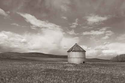 Sunny Pastures BW by Nathan Larson. SKU 84242i. Archival Giclee Fine art print for wall decor.