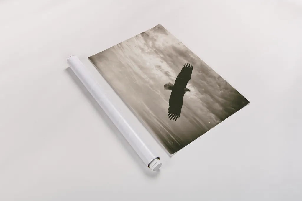 Sunray Eagle by Nathan Larson. shown as a rolled paper print. Available as archival giclee rolled canvas, fine art paper, or poster print. SKU 78764i.
