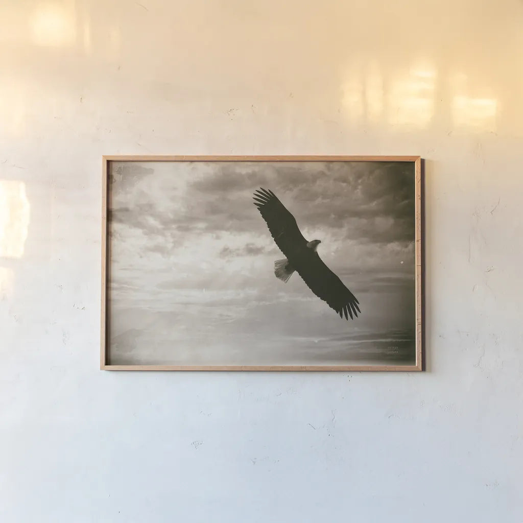 Sunray Eagle by Nathan Larson. shown as a paper print in a natural frame. Available as a archival giclee rolled canvas, fine art paper, or poster print. SKU 78764i.