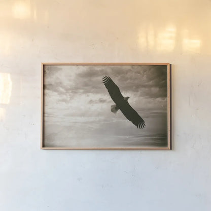Sunray Eagle by Nathan Larson. shown as a paper print in a natural frame. Available as a archival giclee rolled canvas, fine art paper, or poster print. SKU 78764i.