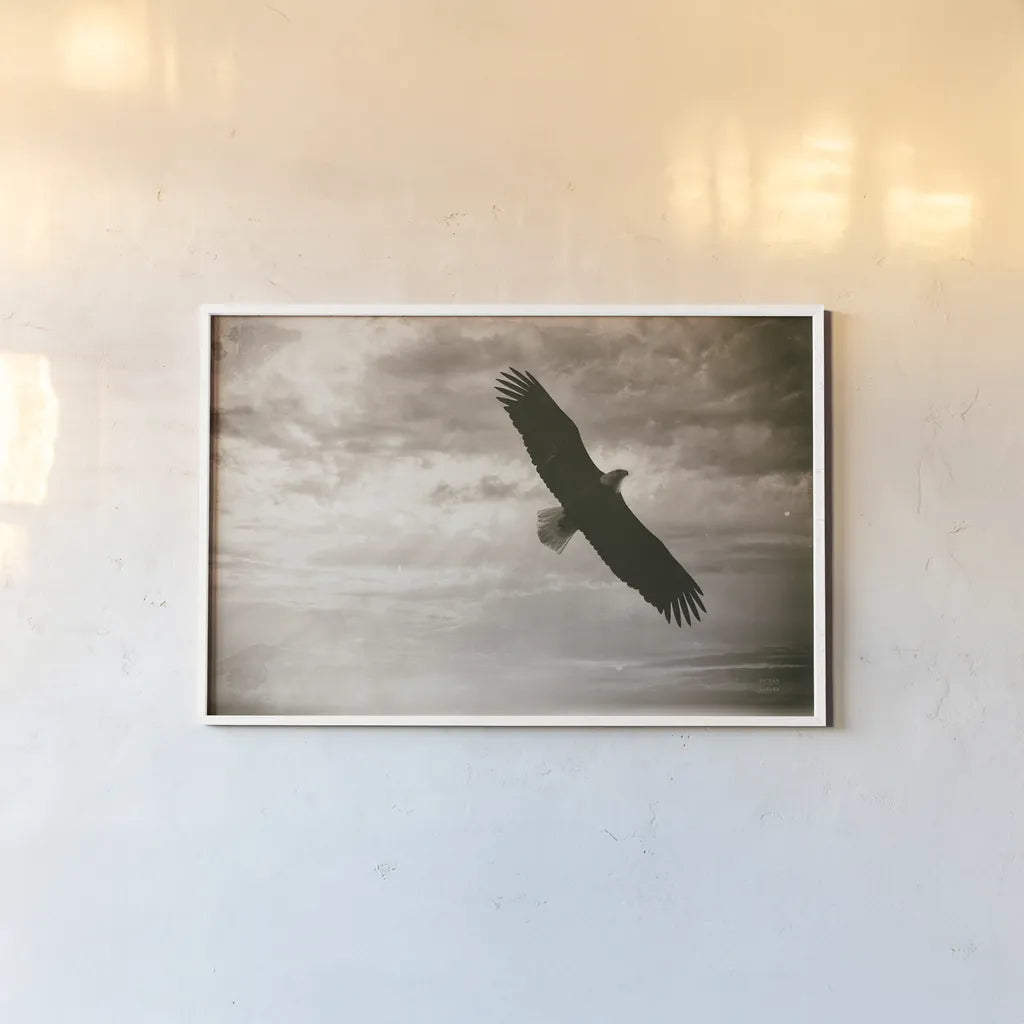 Sunray Eagle by Nathan Larson. shown as a paper print in a white frame. Available as a archival giclee rolled canvas, fine art paper, or poster print. SKU 78764i.