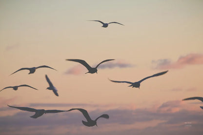 Sunset Flock by Nathan Larson. SKU 85269i. Archival Giclee Fine art print for wall decor.