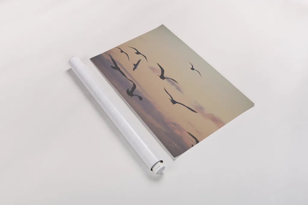Sunset Flock by Nathan Larson. shown as a rolled paper print. Available as archival giclee rolled canvas, fine art paper, or poster print. SKU 85269i.