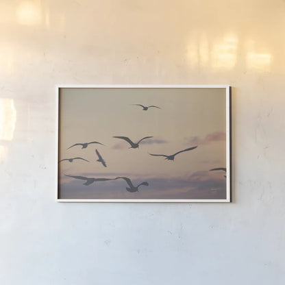 Sunset Flock by Nathan Larson. shown as a paper print in a white frame. Available as a archival giclee rolled canvas, fine art paper, or poster print. SKU 85269i.