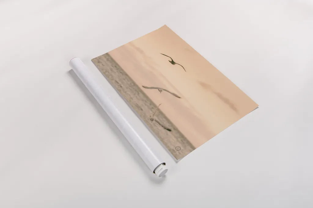 Sunset Flocks by Nathan Larson. shown as a rolled paper print. Available as archival giclee rolled canvas, fine art paper, or poster print. SKU 72056i.