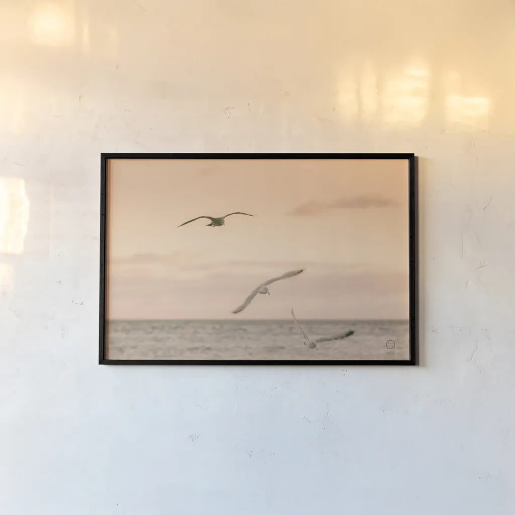 Sunset Flocks by Nathan Larson. shown as a paper print in a black flame. Available as a archival giclee rolled canvas, fine art paper, or poster print. SKU 72056i.