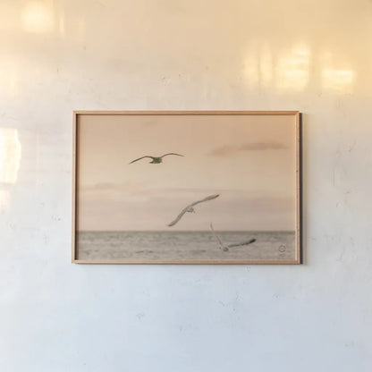 Sunset Flocks by Nathan Larson. shown as a paper print in a natural frame. Available as a archival giclee rolled canvas, fine art paper, or poster print. SKU 72056i.