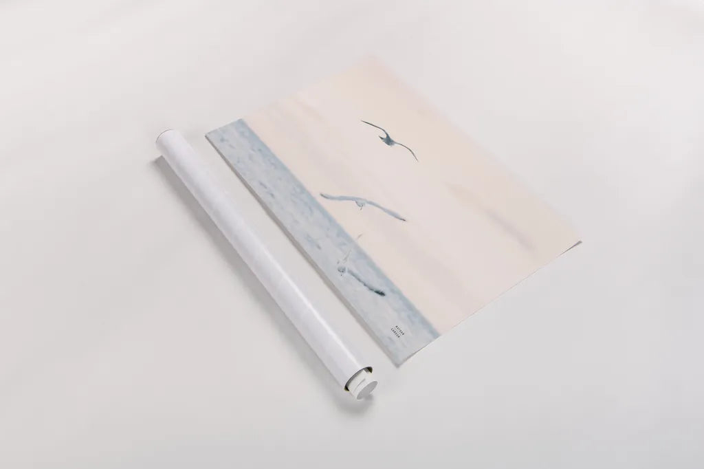 Sunset Flocks by Nathan Larson. shown as a rolled paper print. Available as archival giclee rolled canvas, fine art paper, or poster print. SKU 82386i.