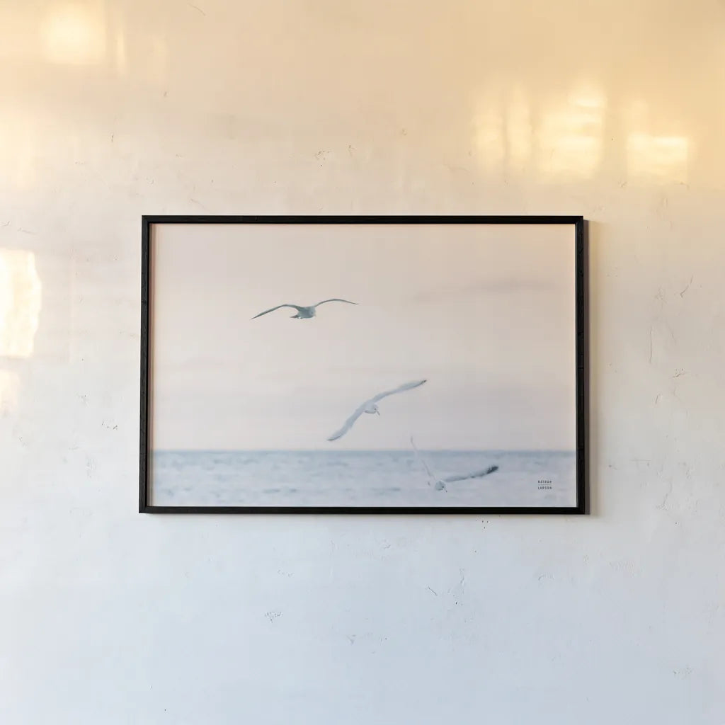 Sunset Flocks by Nathan Larson. shown as a paper print in a black flame. Available as a archival giclee rolled canvas, fine art paper, or poster print. SKU 82386i.