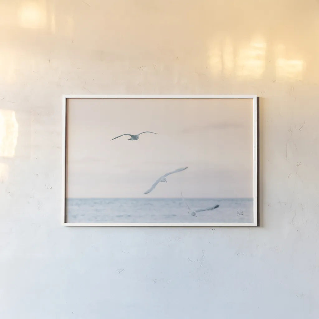 Sunset Flocks by Nathan Larson. shown as a paper print in a white frame. Available as a archival giclee rolled canvas, fine art paper, or poster print. SKU 82386i.