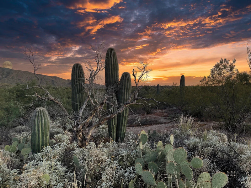 Sunset Moonrise by Nathan Larson