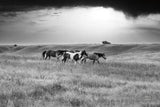 Sunset Rains by Nathan Larson. SKU 82420i. Archival Giclee Fine art print for wall decor.