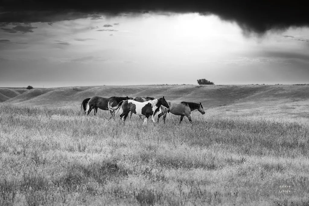 Sunset Rains by Nathan Larson. SKU 82420i. Archival Giclee Fine art print for wall decor.