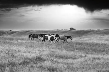 Sunset Rains by Nathan Larson. SKU 82420i. Archival Giclee Fine art print for wall decor.