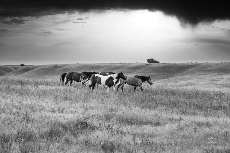 Sunset Rains by Nathan Larson. SKU 82420i. Archival Giclee Fine art print for wall decor.