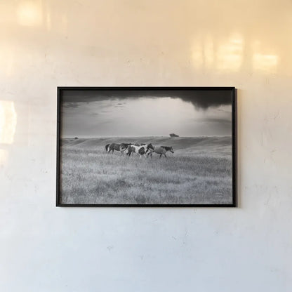 Sunset Rains by Nathan Larson. shown as a paper print in a black flame. Available as a archival giclee rolled canvas, fine art paper, or poster print. SKU 82420i.