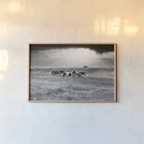 Sunset Rains by Nathan Larson. shown as a paper print in a natural frame. Available as a archival giclee rolled canvas, fine art paper, or poster print. SKU 82420i.