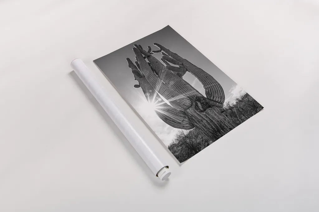 Sunset Saguaro by Nathan Larson. shown as a rolled paper print. Available as archival giclee rolled canvas, fine art paper, or poster print. SKU 72030h.