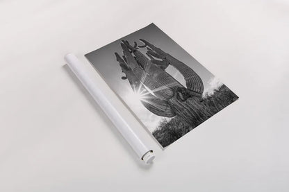 Sunset Saguaro by Nathan Larson. shown as a rolled paper print. Available as archival giclee rolled canvas, fine art paper, or poster print. SKU 72030h.