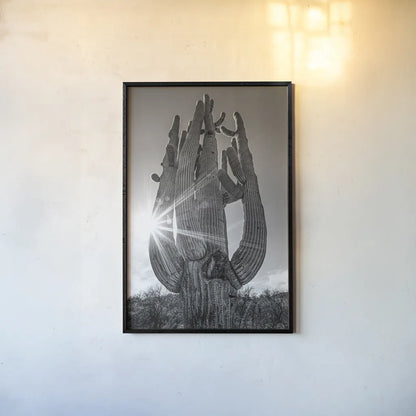 Sunset Saguaro by Nathan Larson. shown as a paper print in a black flame. Available as a archival giclee rolled canvas, fine art paper, or poster print. SKU 72030h.