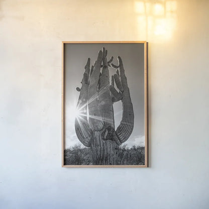 Sunset Saguaro by Nathan Larson. shown as a paper print in a natural frame. Available as a archival giclee rolled canvas, fine art paper, or poster print. SKU 72030h.