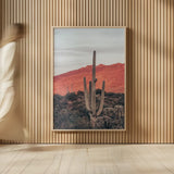 Sunsets and Saguaros I by Nathan Larson. shown as over sized large wall art. Available as an archival giclee rolled canvas, fine art paper, or poster print. SKU 76429h.