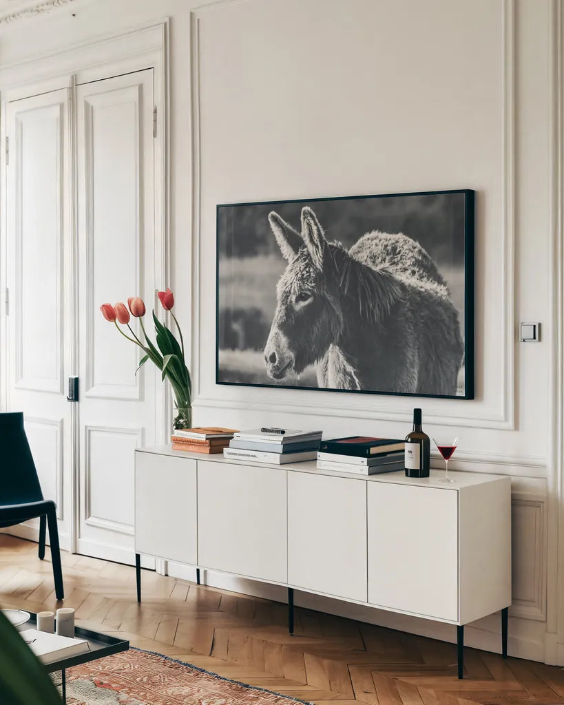 Sweet Donkey I BW by Nathan Larson. shown as a framed stretched canvas in a living room above a console. Available as a archival giclee rolled canvas, fine art paper, or poster print. SKU 99288i.
