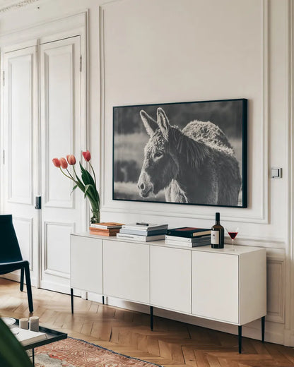 Sweet Donkey I BW by Nathan Larson. shown as a framed stretched canvas in a living room above a console. Available as a archival giclee rolled canvas, fine art paper, or poster print. SKU 99288i.