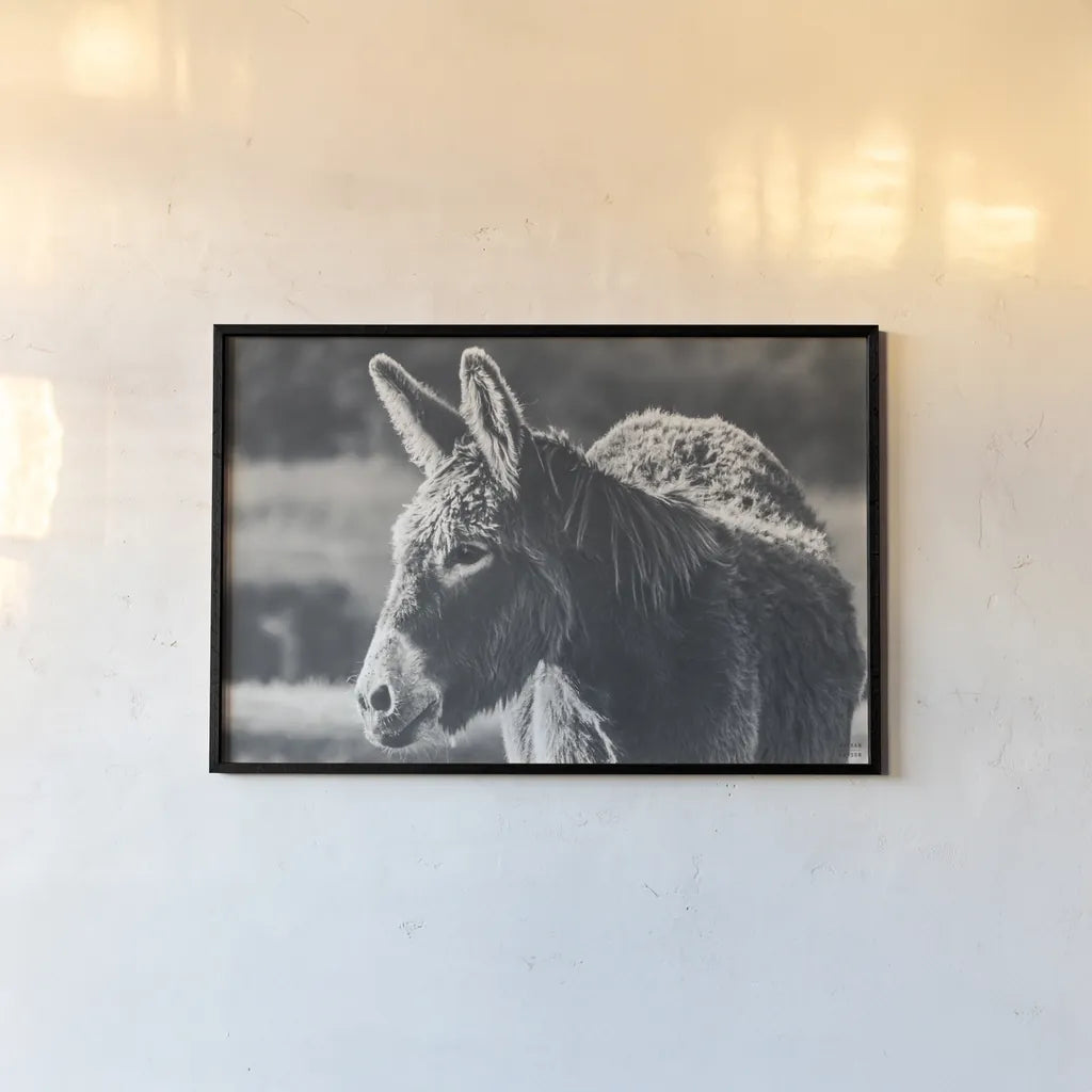 Sweet Donkey I BW by Nathan Larson. shown as a paper print in a black flame. Available as a archival giclee rolled canvas, fine art paper, or poster print. SKU 99288i.