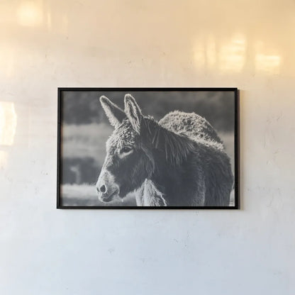 Sweet Donkey I BW by Nathan Larson. shown as a paper print in a black flame. Available as a archival giclee rolled canvas, fine art paper, or poster print. SKU 99288i.