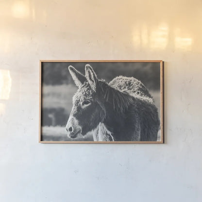 Sweet Donkey I BW by Nathan Larson. shown as a paper print in a natural frame. Available as a archival giclee rolled canvas, fine art paper, or poster print. SKU 99288i.