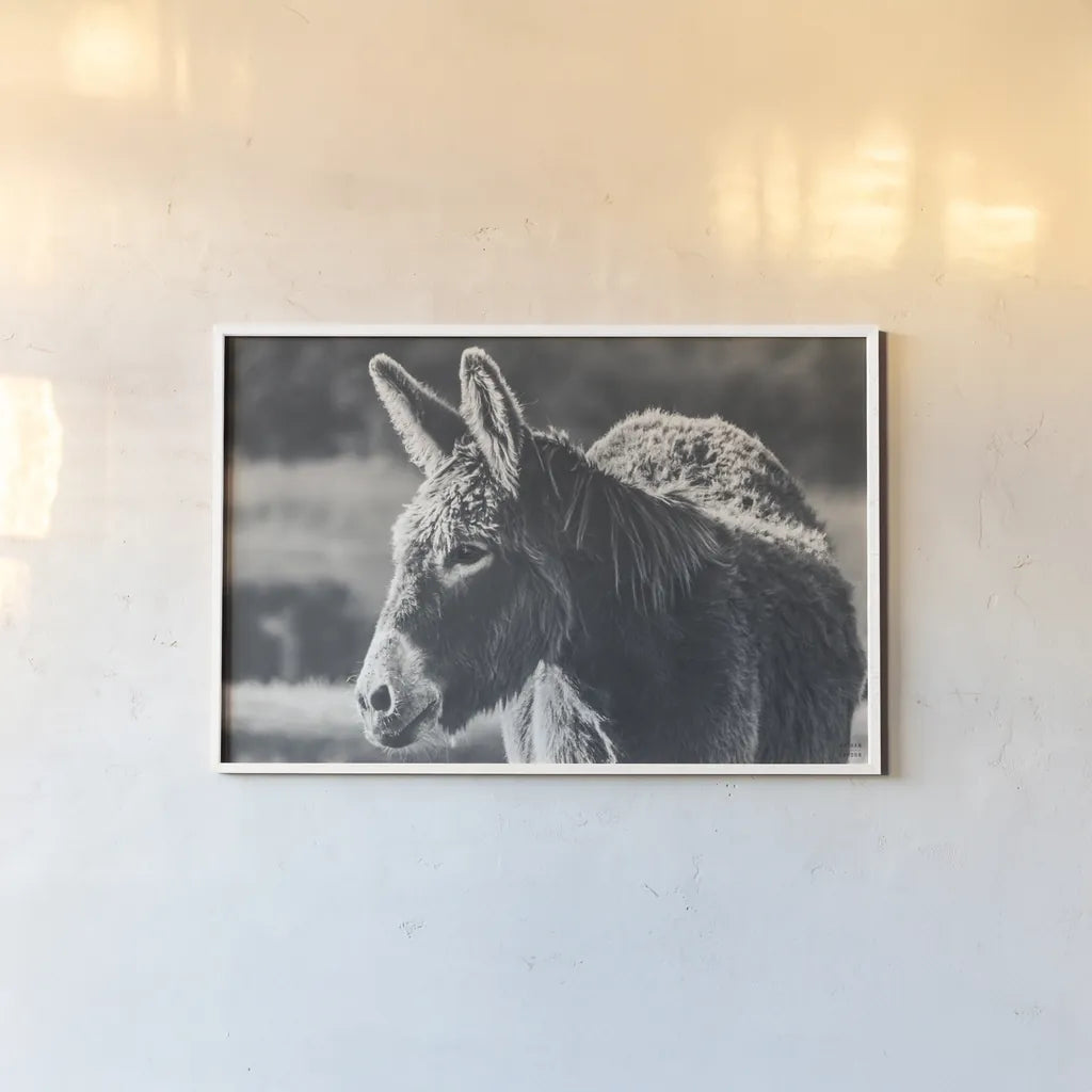 Sweet Donkey I BW by Nathan Larson. shown as a paper print in a white frame. Available as a archival giclee rolled canvas, fine art paper, or poster print. SKU 99288i.