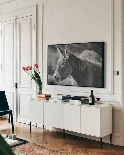 Sweet Donkey II BW by Nathan Larson. shown as a framed stretched canvas in a living room above a console. Available as a archival giclee rolled canvas, fine art paper, or poster print. SKU 99289i.