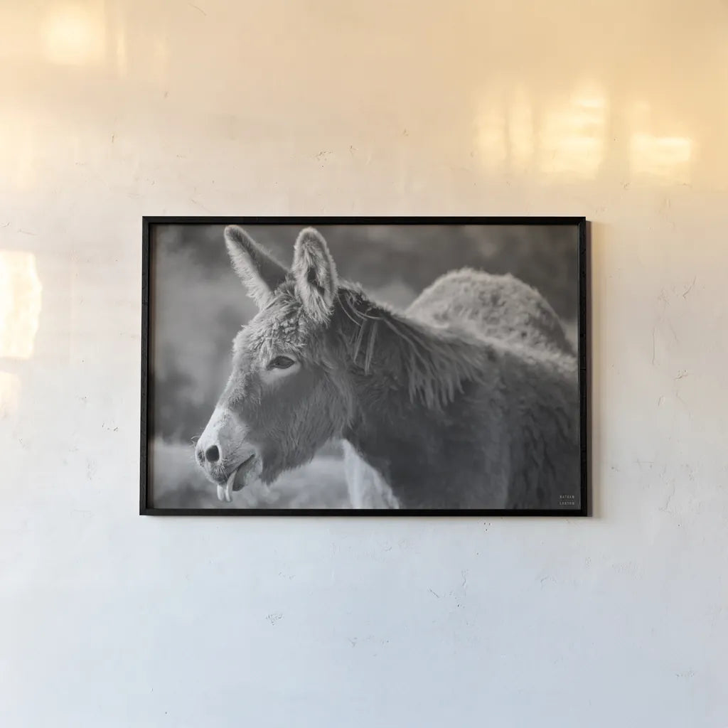 Sweet Donkey II BW by Nathan Larson. shown as a paper print in a black flame. Available as a archival giclee rolled canvas, fine art paper, or poster print. SKU 99289i.