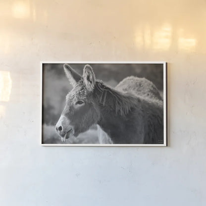 Sweet Donkey II BW by Nathan Larson. shown as a paper print in a white frame. Available as a archival giclee rolled canvas, fine art paper, or poster print. SKU 99289i.