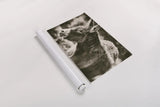 Sweet Donkey II Sepia by Nathan Larson. shown as a rolled paper print. Available as archival giclee rolled canvas, fine art paper, or poster print. SKU 99290i.
