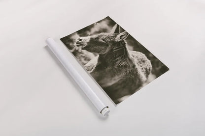 Sweet Donkey II Sepia by Nathan Larson. shown as a rolled paper print. Available as archival giclee rolled canvas, fine art paper, or poster print. SKU 99290i.