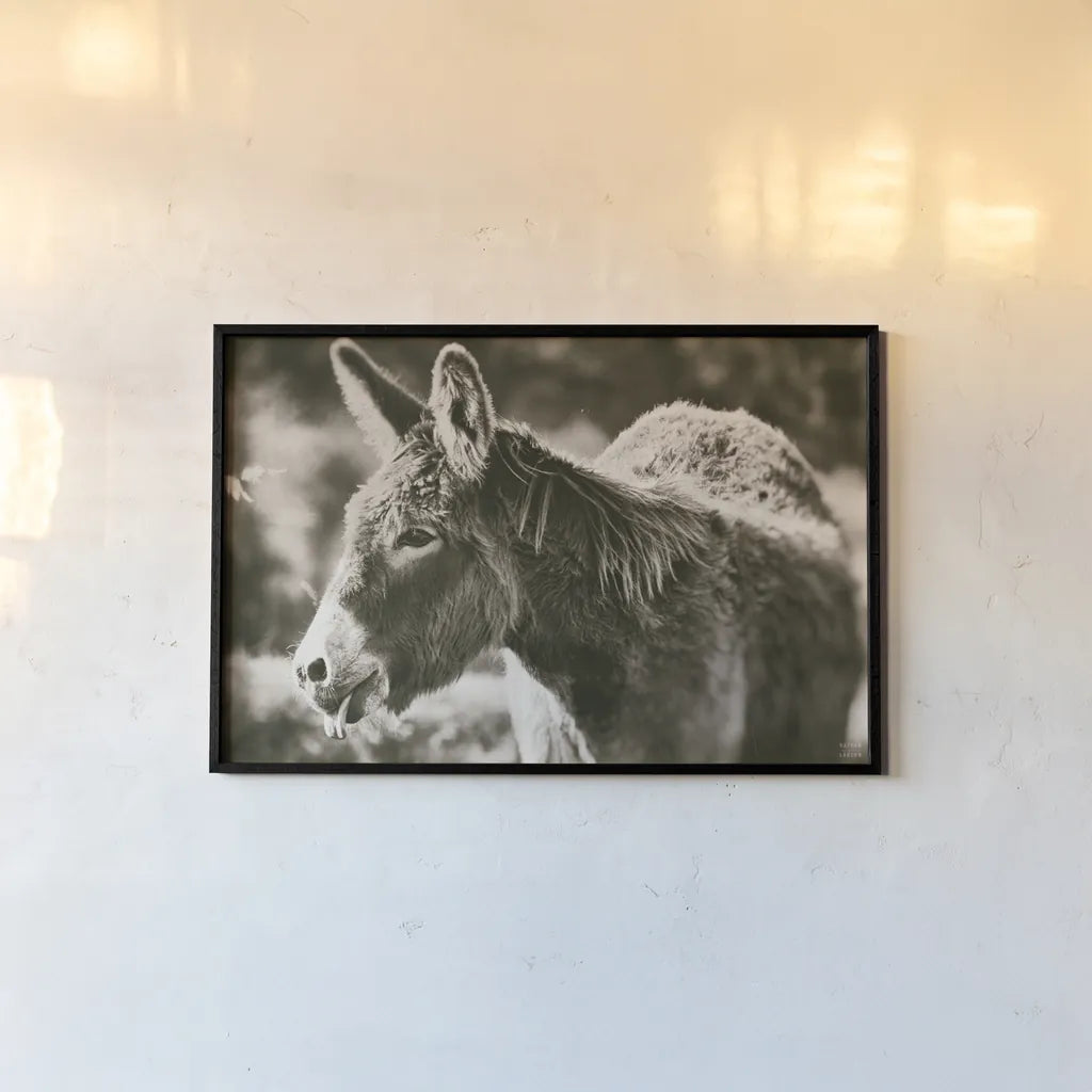 Sweet Donkey II Sepia by Nathan Larson. shown as a paper print in a black flame. Available as a archival giclee rolled canvas, fine art paper, or poster print. SKU 99290i.