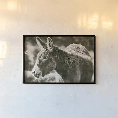 Sweet Donkey II Sepia by Nathan Larson. shown as a paper print in a black flame. Available as a archival giclee rolled canvas, fine art paper, or poster print. SKU 99290i.