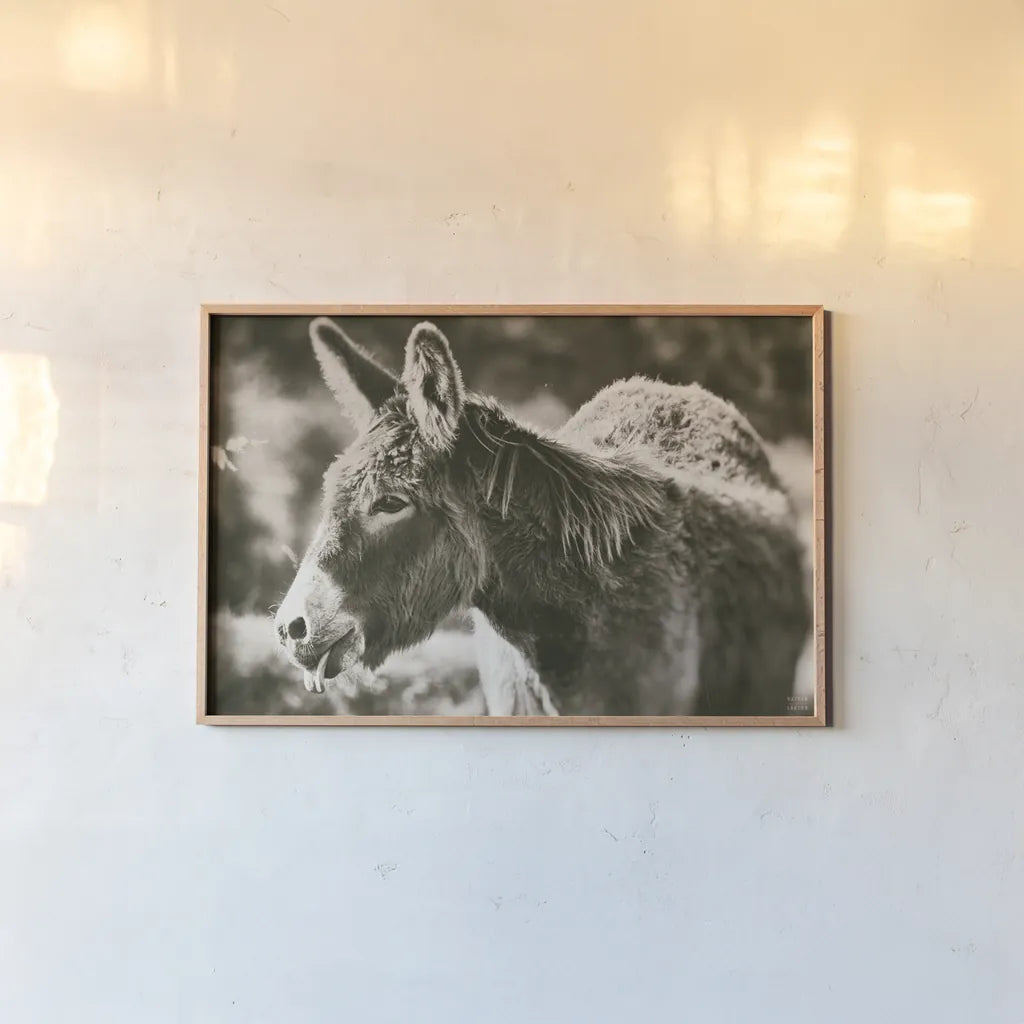 Sweet Donkey II Sepia by Nathan Larson. shown as a paper print in a natural frame. Available as a archival giclee rolled canvas, fine art paper, or poster print. SKU 99290i.