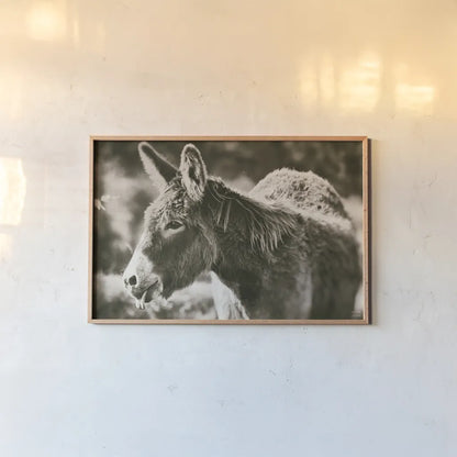 Sweet Donkey II Sepia by Nathan Larson. shown as a paper print in a natural frame. Available as a archival giclee rolled canvas, fine art paper, or poster print. SKU 99290i.