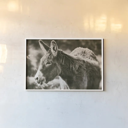 Sweet Donkey II Sepia by Nathan Larson. shown as a paper print in a white frame. Available as a archival giclee rolled canvas, fine art paper, or poster print. SKU 99290i.