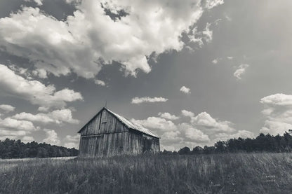 Take Me Upstate by Nathan Larson. SKU 96201i. Archival Giclee Fine art print for wall decor.