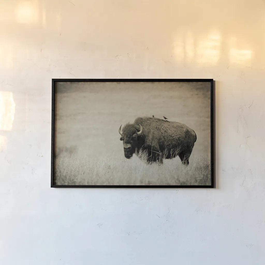 Tall Grass Bird Perch by Nathan Larson. shown as a paper print in a black flame. Available as a archival giclee rolled canvas, fine art paper, or poster print. SKU 88237i.