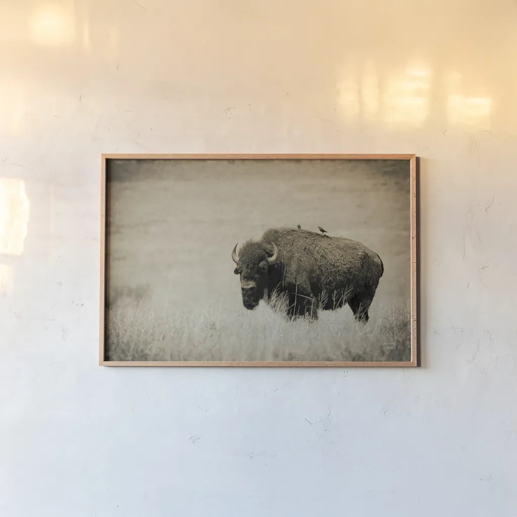 Tall Grass Bird Perch by Nathan Larson. shown as a paper print in a natural frame. Available as a archival giclee rolled canvas, fine art paper, or poster print. SKU 88237i.